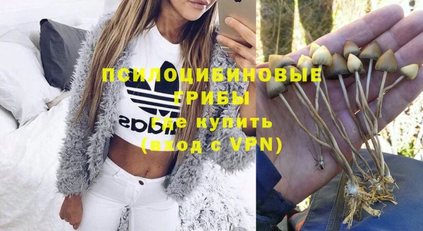 амфетамин Алексин